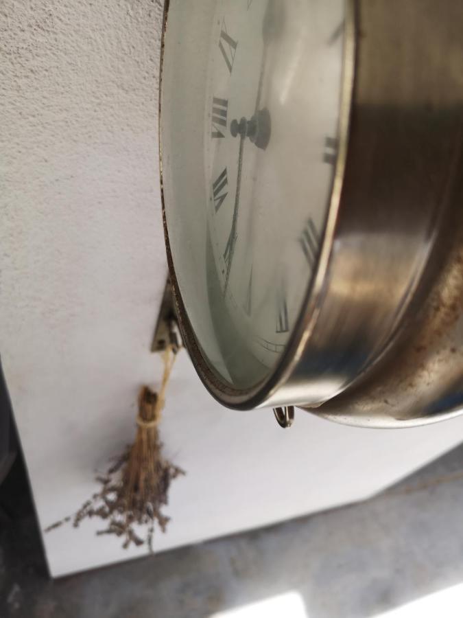 Casa Segota 호텔 Veli Iž 외부 사진